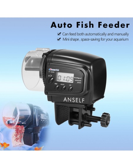 Auto Fish Feeder