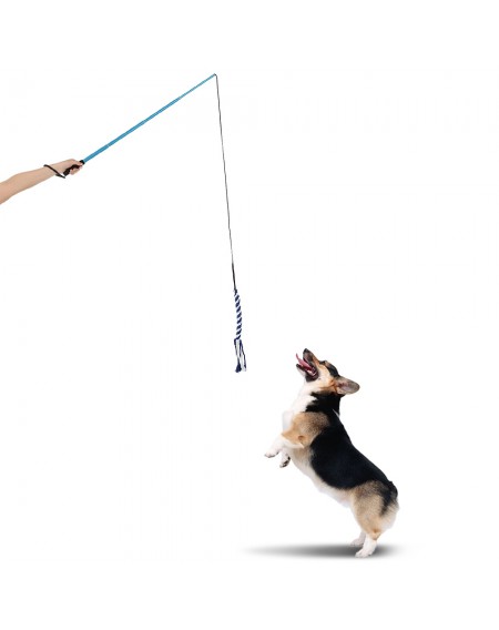 Extendable Dog Puppy Teaser Pole Wand Outdoor Interactive Pet Dog Flirt Pole Training Exercise Rope Toy