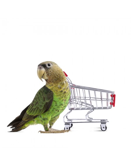 Cute Metal Mini Shopping Cart Pet Bird Parrot Toy for Conures Parakeet Lovebirds Cockatiel