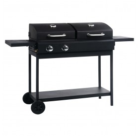 Gas and charcoal grill with 2 burners
