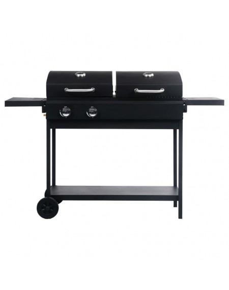 Gas and charcoal grill with 2 burners